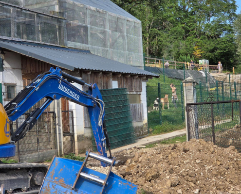 Baustelle mit Hunden im Hintergrund Baustelle mit Hunden im Hintergrund